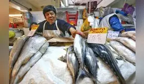 Produce establece desde este lunes veda del bonito