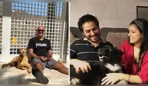 Finales felices: albergue registra un incremento en adopciones durante cuarentena Finales felices: albergue registra un incremento en adopciones durante cuarentena