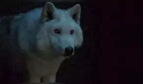 Game of Thrones: Ghost salvaría a Jon Snow en la batalla contra el 'Rey de la Noche'