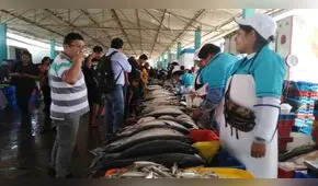 Mercado mayorista de Tacna ofrece 40 toneladas de pescado
