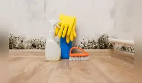 Limpieza en el hogar: ¿cómo quitar el moho de las paredes de manera efectiva?