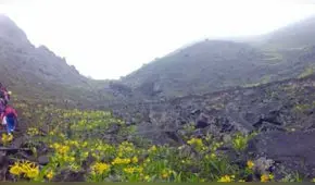Un paraíso en el distrito de Villa María de Triunfo