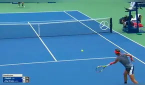 Nadal vs Del Potro: español inauguró el partido con este genial punto [VIDEO]