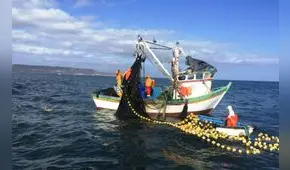 Produce: Suspenden extracción de bonito para el año 2018 