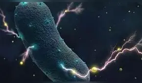 Los 25 descubrimientos científicos, históricos y culturales que asombraron al mundo en el 2018