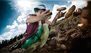 Pleno Agrario no logra debatir toda la agenda planteada