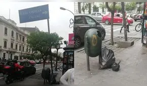 Cartel de señalización es amarrado a árbol por temor a que caiga