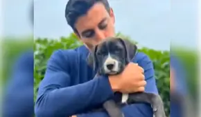 Duilio Vallebuona ofrece recompensa y entrada al concierto de Romeo para recuperar a su mascota