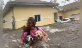 Heroico rescate de dos perros atrapados en medio del Huracán Dorian [VIDEO] 
