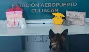 Peluche de Pikachu relleno de marihuana es decomisado en aeropuerto mexicano 