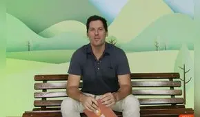 Todo sobre los gatos - Entre patas