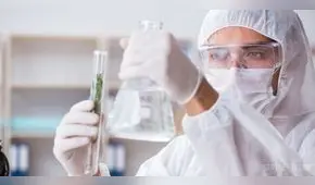 Conoce la universidad peruana que investiga productos de cannabis