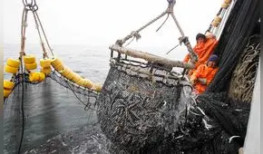 Imarpe ejecutará Operación Merluza para evaluar situación del recurso pesquero