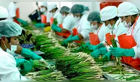 Perú: Más de US$15 mil millones generaron exportaciones regionales a junio de este año 