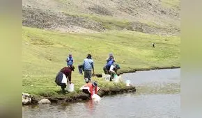 Huancavelica: Repueblan laguna Chancahuasi y río Aurahuá con 111 millares de alevinos
