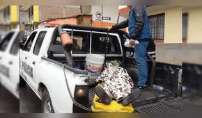 Susalud se pronuncia por muerte de madre en cabina de radio de Cusco