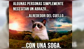 Facebook viral: miles lloran a Grumpy Cat, la gata más famosa del Internet, que acaba de morir [FOTOS]