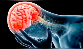 Ameba 'come cerebros': ¿Qué es, cuáles son los síntomas y cómo se contagia?