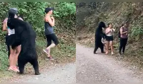 Oso se aproxima a una joven, la olfatea y ella aprovecha para tomarse una selfie [VIDEO]
