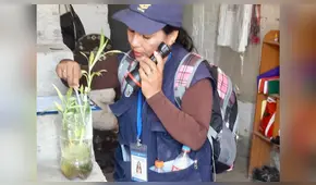 Solicitan a población no bajar la guardia frente al dengue en Lambayeque