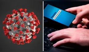 Las seis formas de estafas virtuales más comunes en la pandemia del coronavirus