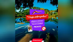 Anímate a viajar entre patas