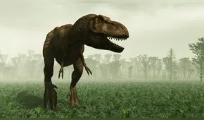 Scotty, el Tiranosaurio Rex más grande del mundo, fue hallado en Canadá [FOTOS]