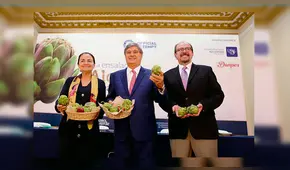 Prepararán ensalada con 1500 kilos de alcachofa
