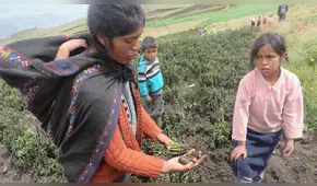 Congreso aprueba ley que fortalece la planificación agraria