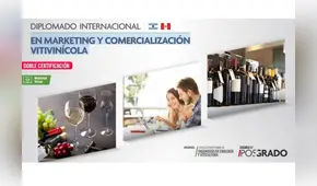 Descubre todo sobre el mundo del vino desde el marketing hasta su comercialización