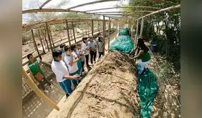 Compost: solución que merece atención, por Beatriz Salazar