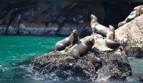 Capatur saluda decisión de aumentar feriados para impulsar el turismo interno