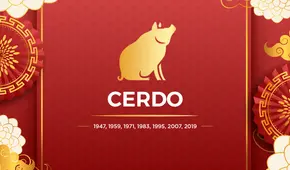 Horóscopo chino 2021: las predicciones para el cerdo en este Año del Buey de Metal