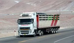 MTC: conductores de carga no necesitan pase laboral para prestar servicio