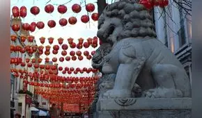 Horóscopo chino: cómo saber qué animal soy, según mi año de nacimiento