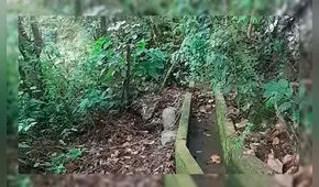 Piura: construirán sistema de riego para mejorar agricultura en Huancabamba 