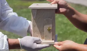 COVID-19: mujer denuncia que no le devuelven las cenizas de su madre desde hace un año 