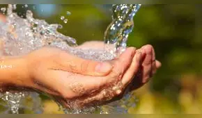 Día Mundial del Agua: ¿cómo se origina esta fecha y cuál es su importancia?