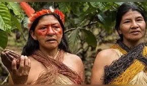 Caín, ¿dónde está tu hermano?