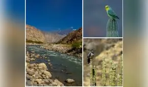 Cajamarca: buscan aprobar creación  de dos áreas de conservación regional