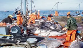 Exportaciones crecieron 3,5% en el primer bimestre del año