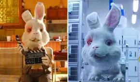 Save Ralph: mira el corto de Taika Waititi contra las  pruebas cosméticas en animales 