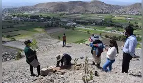 Arequipa: sembrarán 6.000 plantones en el distrito de Sachaca 