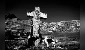 Franz Krajnik ofrecerá conversatorio sobre muestra virtual de Uchuraccay que se exhibe en la UPC