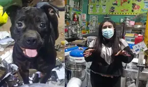 Cercado de Lima: roban más S/ 25.000 y una mascota de negocio Cercado de Lima: roban más S/ 25.000 y una mascota de negocio