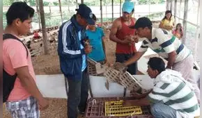 Cáritas implementa medidas de adaptación al cambio climático en Loreto