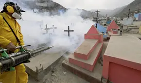 Logran controlar el zika, pero aún no el dengue ni la chikungunya    