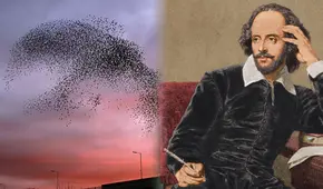 La lectura de una novela de Shakespeare que ocasionó un desastre ecológico