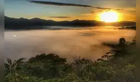 Presentan serie para promover la observación de vida silvestre en el norte