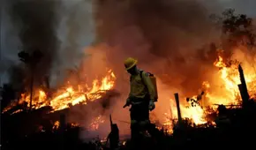 Bolivia: identifican a presuntos autores del incendio de más de 150.000 hectáreas de bosques
